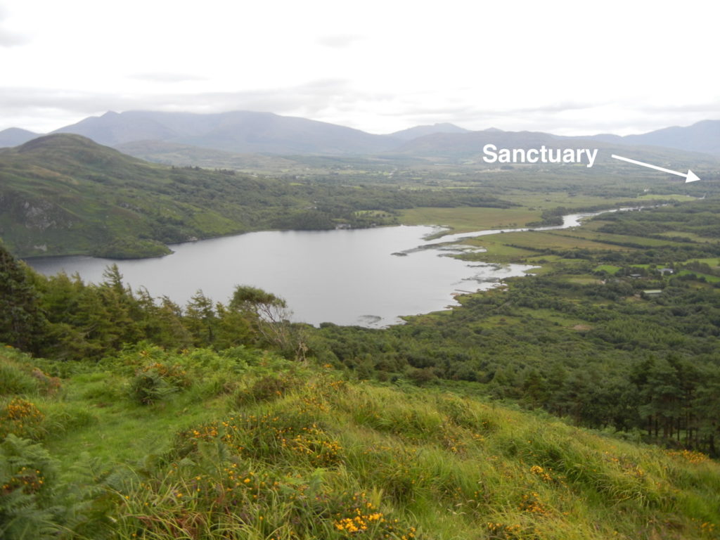 View of Caragh Valley looking south