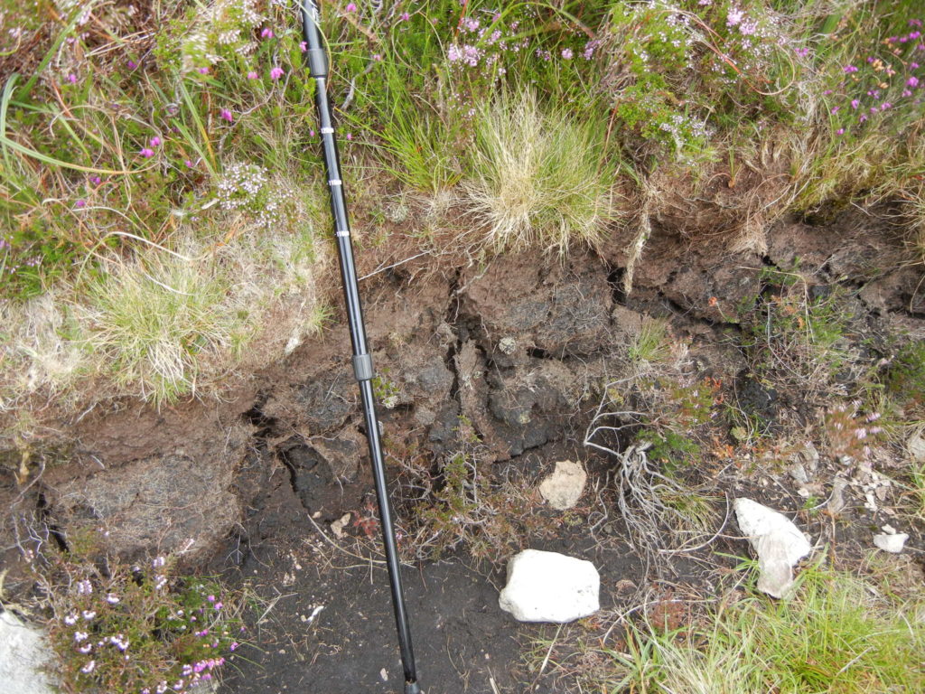 Peat near Windy Pass