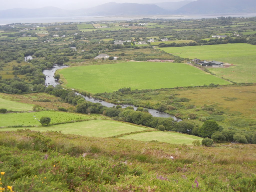 Lower Caragh River